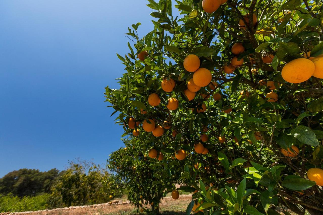 Agroturisme Can Planells Sant Miquel De Balansat Exterior photo